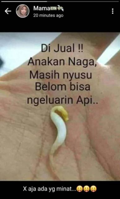 Status Whatsapp emak-emak yang bikin kita ketawa seharian